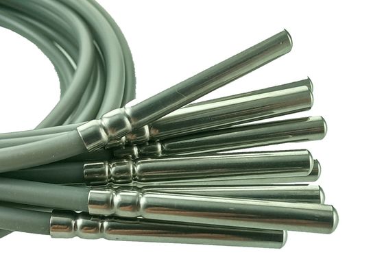 RTD Class B PT100 Platinum Resistance Micro Temperature Sensor 2 Meter Length With 6x50mm Stainless Steel 304 Housing