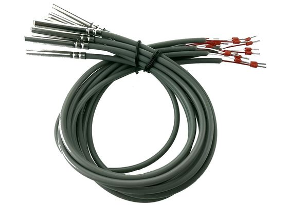 RTD Class B PT100 Platinum Resistance Micro Temperature Sensor 2 Meter Length With 6x50mm Stainless Steel 304 Housing